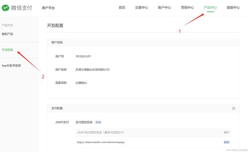 支付宝接口开发：构建高效便捷支付平台的新引擎
