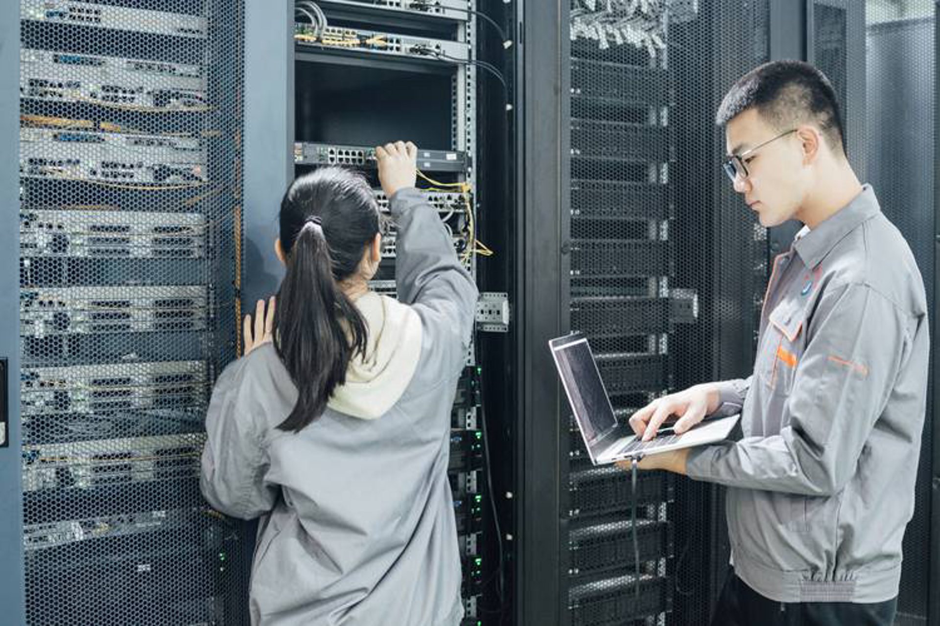 圣裁网络